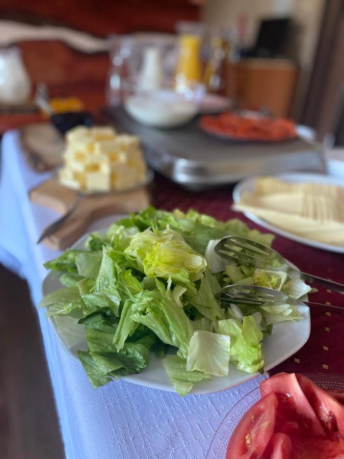 多摩维那酒店 Špindlerŭv Mlýn 外观 照片